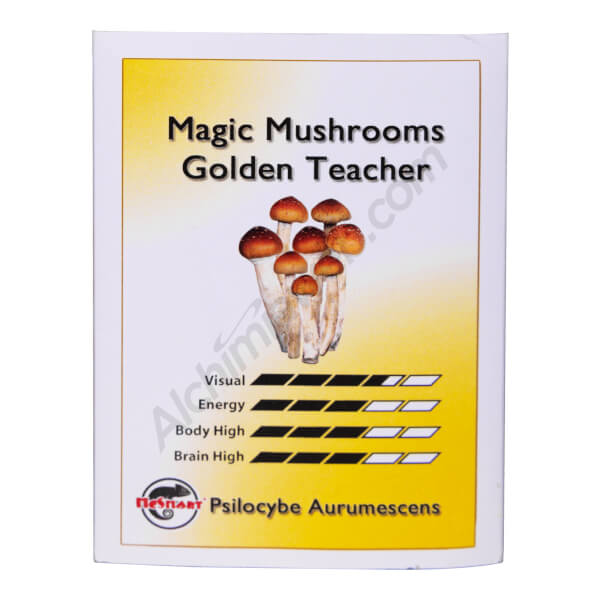 Hallucinogenic mushrooms Spores Print 