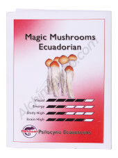 Hallucinogenic mushrooms Spores Print 