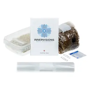 Psilocybe B+ mushrooms growing kit - Innervisions