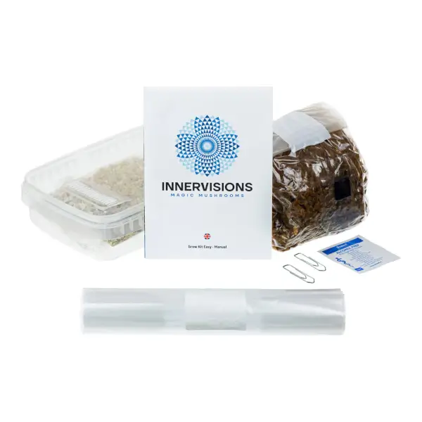 Psilocybe B+ mushrooms growing kit - Innervisions