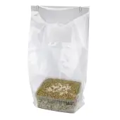 Kit de cultivo de setas Psilocybe Camboyana - Innervisions