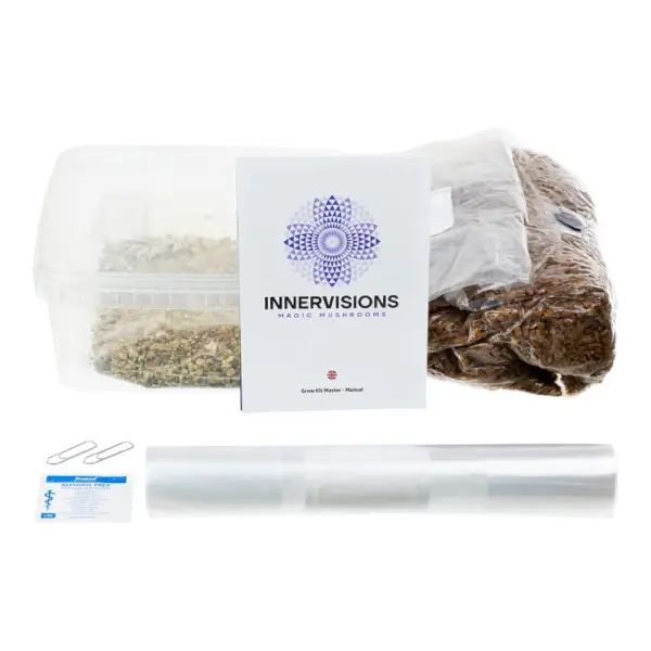 Kit de cultivo de setas Psilocybe Camboyana - Innervisions