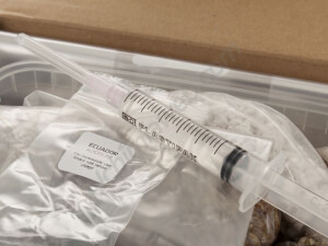 Psilocybes Ecuadorian mushrooms growing kit - Innervisions
