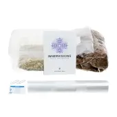 Kit de cultivo de setas Psilocybes Thailandesa - Innervisions