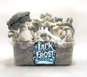 Pan de setas alucinógenas Jack Frost