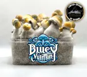 Bluey Vuitton Magic Mushroom Growkit