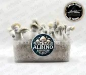 Pan de setas alucinógenas Albino Bluey Vuitton