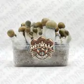 Pan de setas alucinógenas Melmac Thrasher