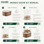 Blue Ghost magic mushroom Growkit