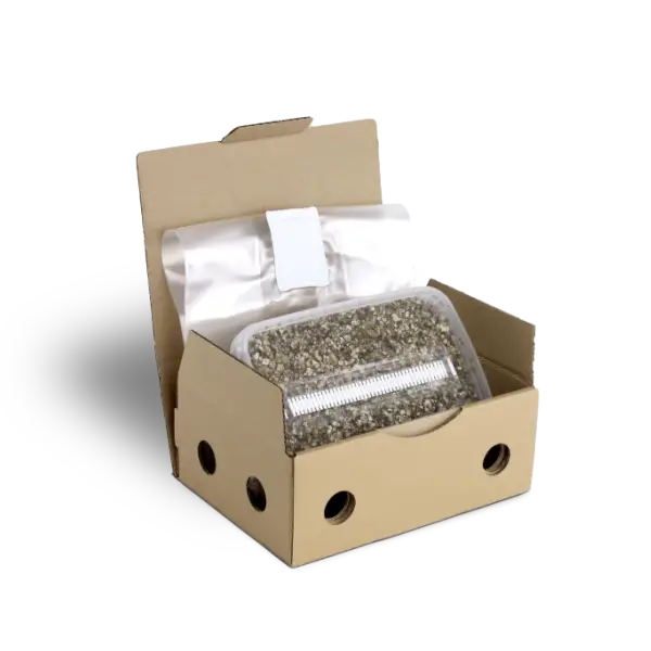 Substrat Stérilisé pour la Culture de Champignons