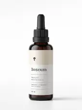 Lion’s Mane Extract