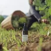 Chaga Extract
