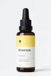 Extrait Sinergia Plus (Reishi, Shiitake, Maitake et Hérisson)