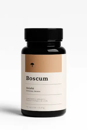 Reishi Extrakt in Kapseln