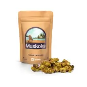 Truffes magiques Muskoka