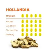 Hollandia-Magietrüffel