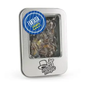 Fantasia Magic Truffles