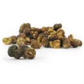 Truffes magiques Fantasía