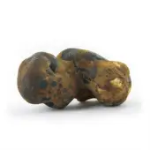 Trufas mágicas Fantasia