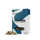 Truffes magiques Tampanensis