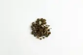 Truffes magiques Mexicana