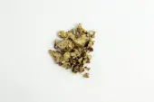 Hollandia magic truffles