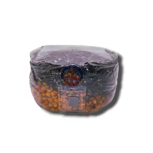 Sac de culture non inoculé All-in-One