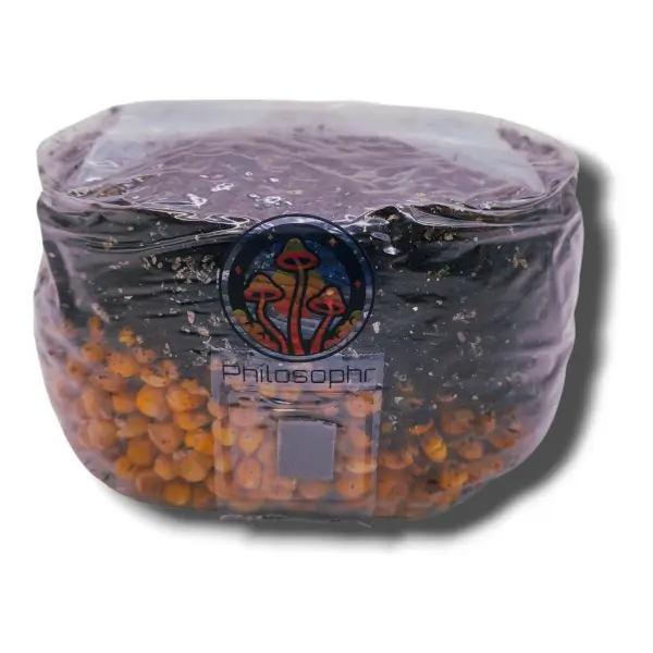 Sac de culture non inoculé All-in-One