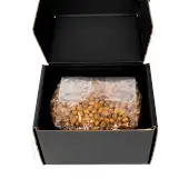 Grano de maiz estéril