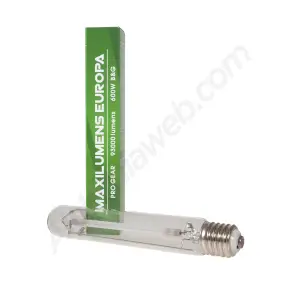 Ampoule mixte HPS Maxilumens