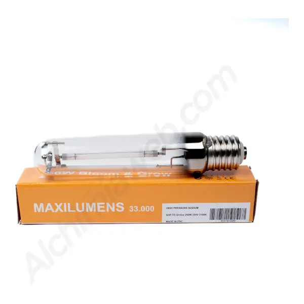 Ampoule mixte HPS Maxilumens