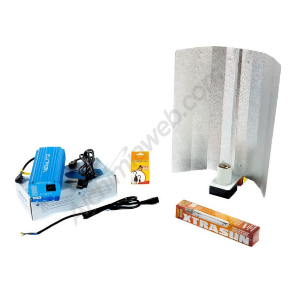 600W Dual Electronic lighting kit