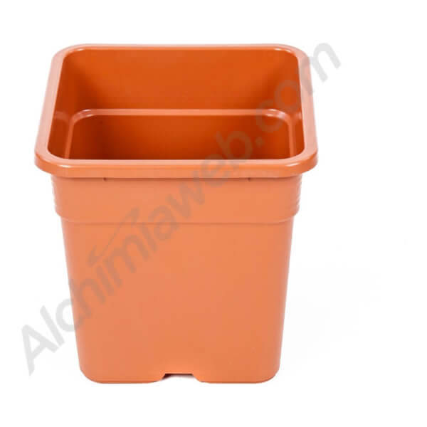 Maceta Cuadrada Vega Terracota con Plato