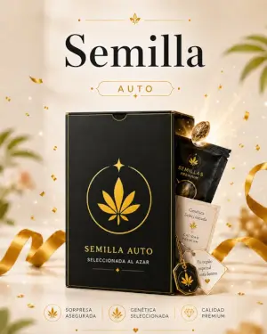 AUTO SAMEN Promo 1 Samen