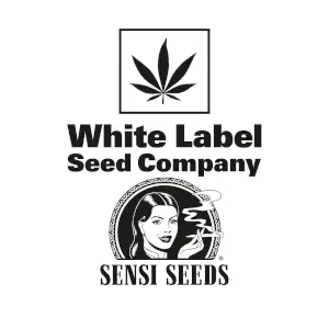White Label Feminizada de Sensi Seeds