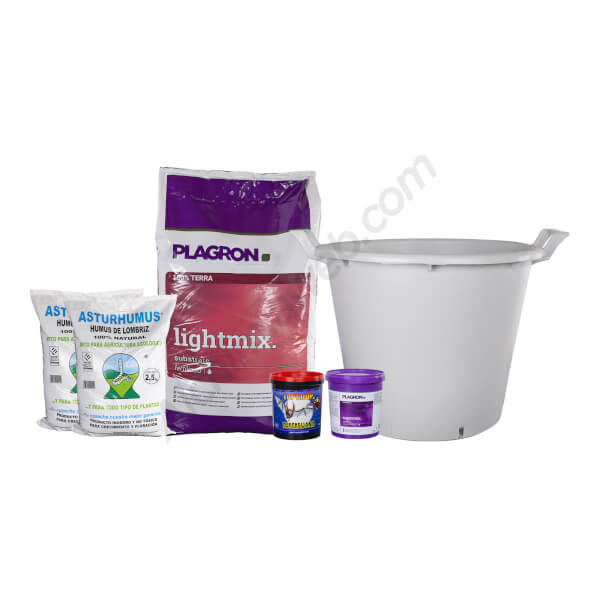 Kit dé démarrage basique pour l'extérieur - 1 plante