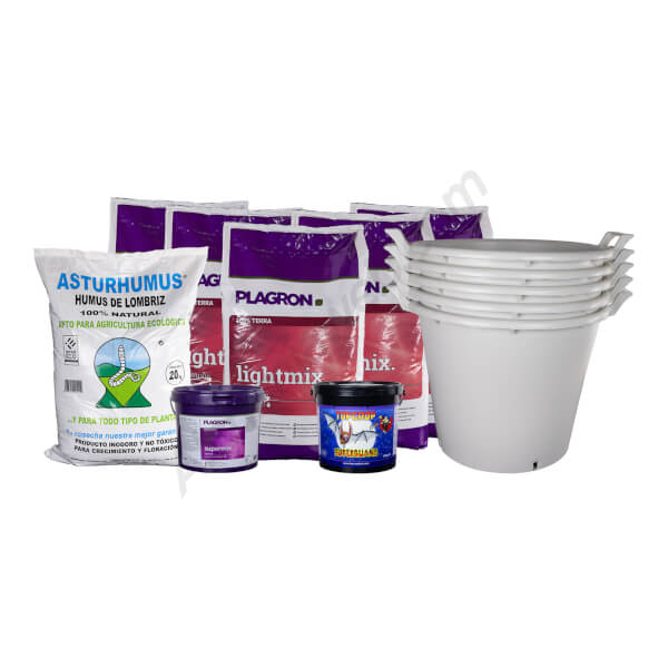 Basic Outdoor Starter Kit - 5 plants