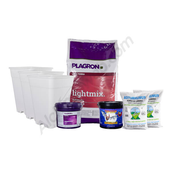 Kit de démarrage extérieur basique - 3 Autofloraisons