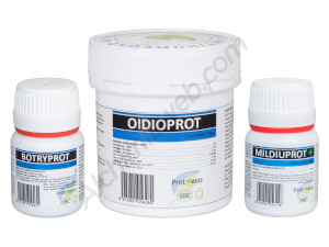 Prot-Eco Anti-Pilz-Set