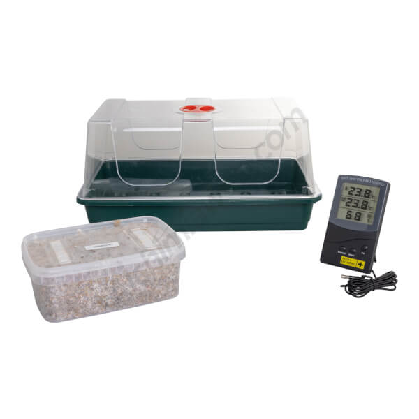Hallucinogenic mushroom kit with mini greenhouse