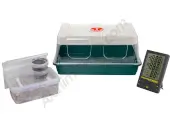 Copelandia Hawaiian Mushroom Growkit 