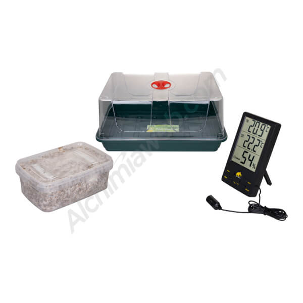 Hallucinogenic mushroom kit with mini greenhouse
