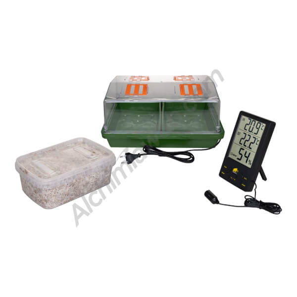Setas mágicas Freshmushrooms y mini invernadero con calefacción