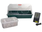 Panaeolus Cyanescens Mushroom Growing Kit