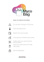 Bolsa de cultivo Whitebilly - Mycobag