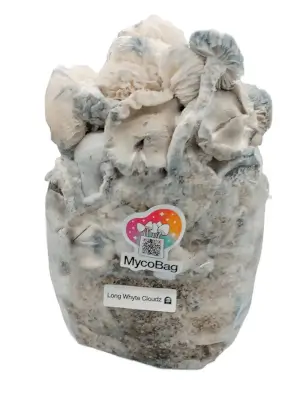 Long White Cloudz Pilzzucht-Beutel von Mycobag