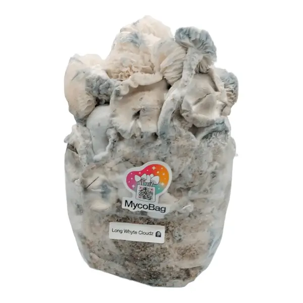 Long White Cloudz Pilzzucht-Beutel von Mycobag