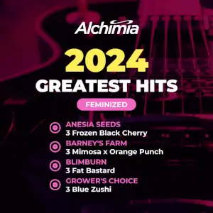 Alchimia Greatest Hits Feminized