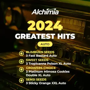 Alchimia Greatest Hits Auto