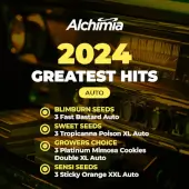 Alchimia Greatest Hits Auto